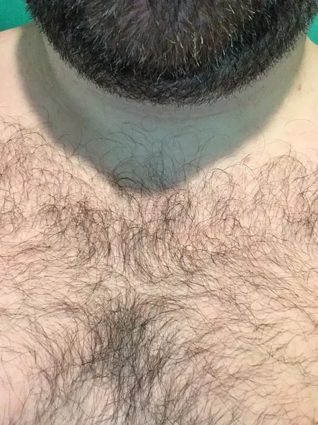 Daddy Bear avatar