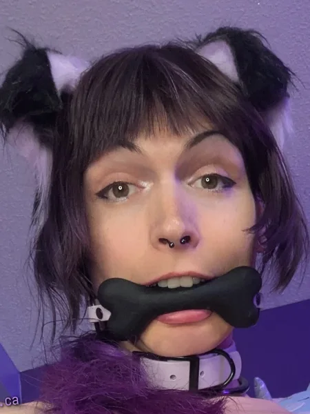 bee 🐶