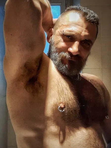 CCB: A Bear in Paris