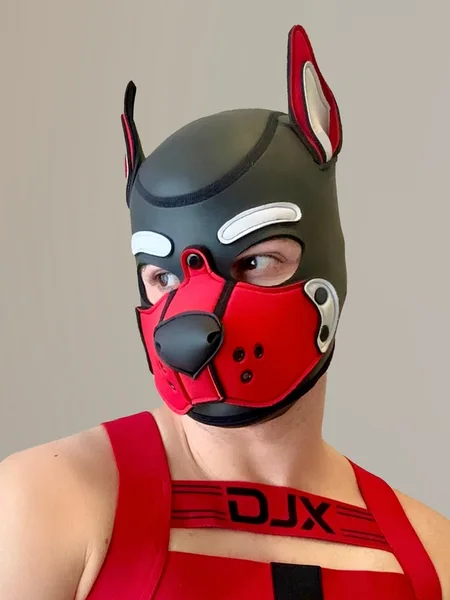 Pup Clifford