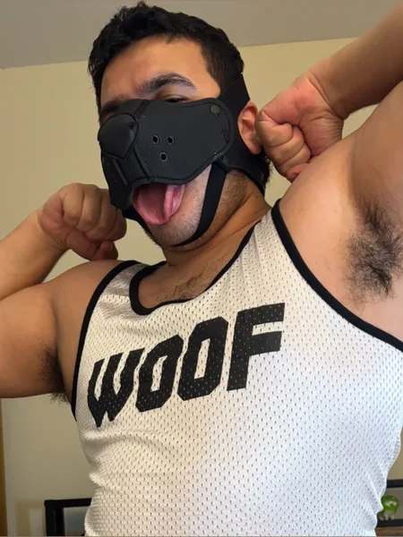 Pup Nico