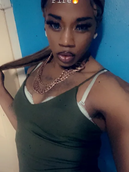 Jaz tigris dior