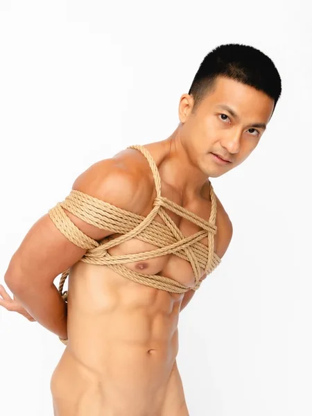 Zed Sheng avatar