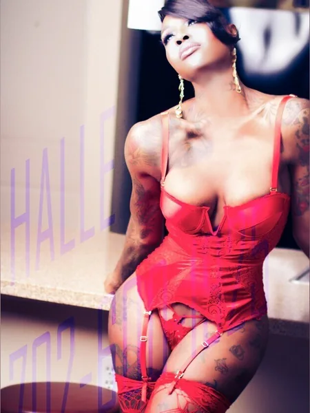 TS Halle