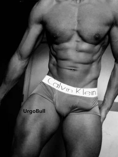 URGOBULL