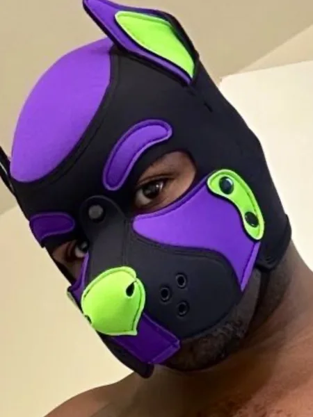 Pup Vortex, The Microwavable Thotpocket