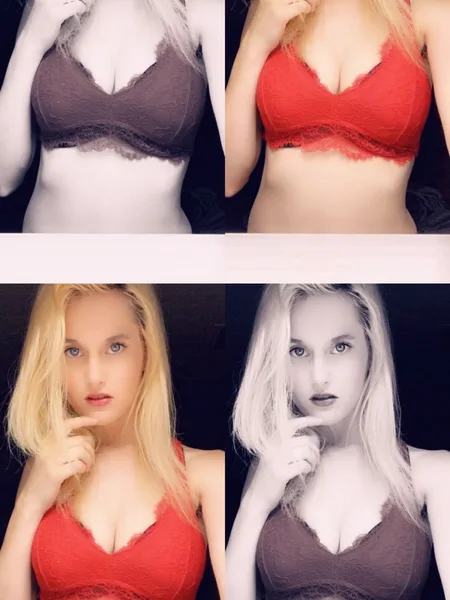 VsnowfoxVxoxo