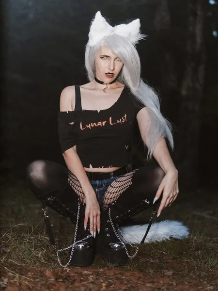 Winter Fire Fox