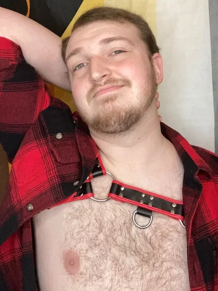 The Cinema Bear