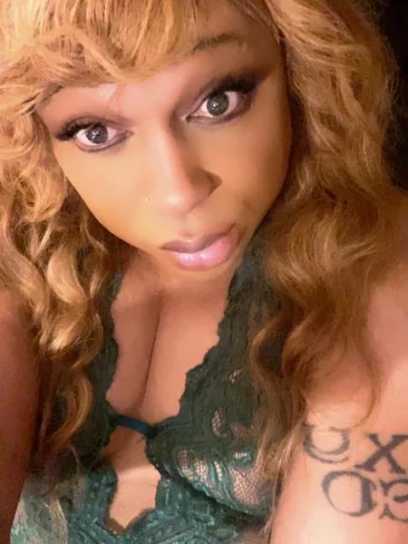 Bella Dreamz