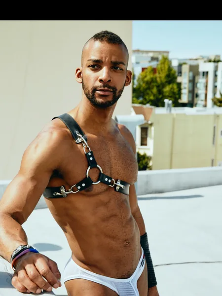 Yogi Trainer