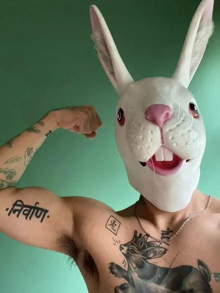 El Conejo Rey 🐇👑