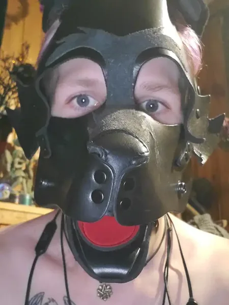 Zane-Pup
